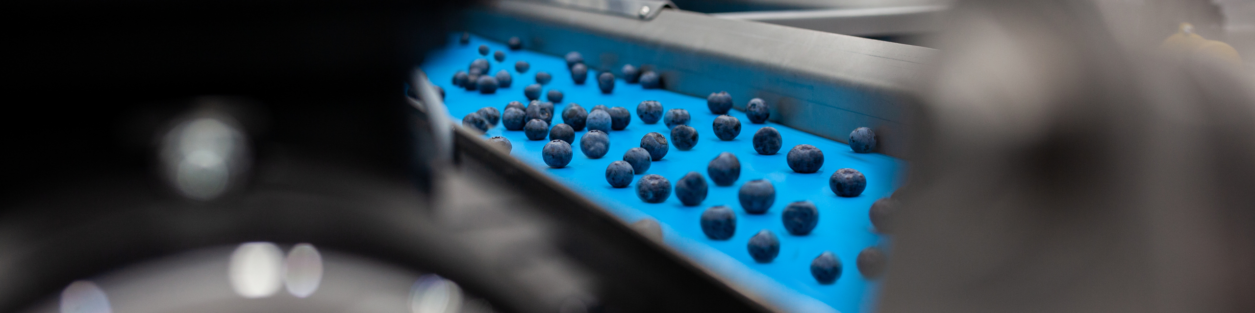 FRUIT LOGISTICA Online