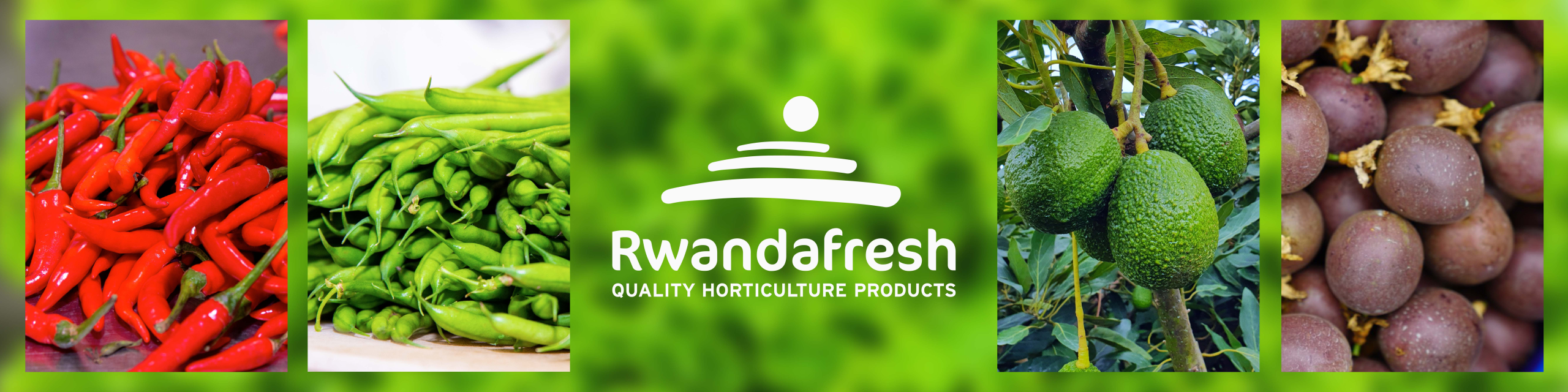 FRUIT LOGISTICA Online